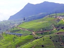 セイロン旅行.com,スリランカ旅行、貴重な旅行画像best100