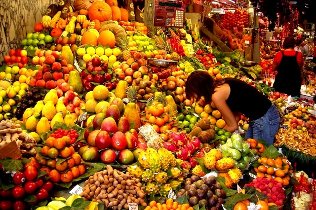 セイロン旅行.com,スリランカ旅行、貴重な旅行画像best100