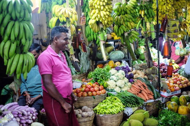 セイロン旅行.com,スリランカ旅行、貴重な旅行画像best100