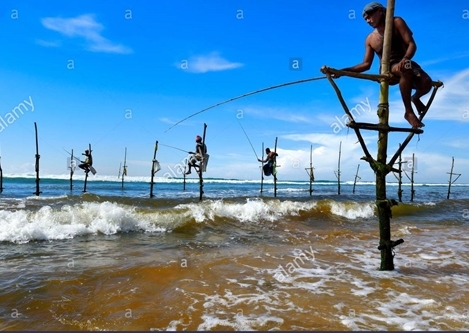 セイロン旅行.com,スリランカ旅行、貴重な旅行画像best100