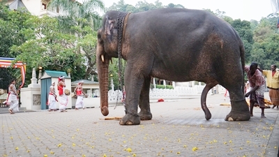 セイロン旅行.com,スリランカ旅行、貴重な旅行画像best100