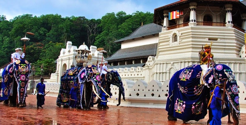 セイロン旅行.com,スリランカ旅行、貴重な旅行画像best100