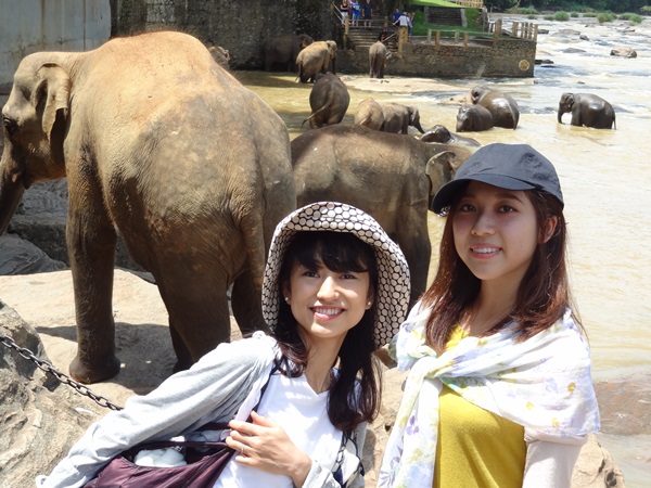 セイロン旅行.com,スリランカ旅行、貴重な旅行画像best100