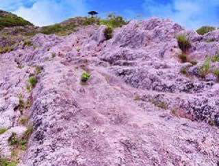 セイロン旅行.com,スリランカ旅行、貴重な旅行画像best100