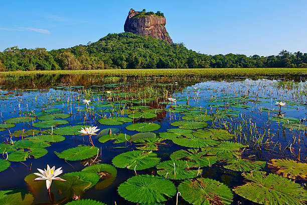 セイロン旅行.com,スリランカ旅行、貴重な旅行画像best100