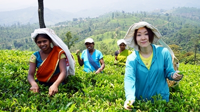 セイロン旅行.com,スリランカ旅行、貴重な旅行画像best100