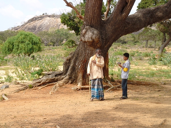 セイロン旅行.com,スリランカ旅行、貴重な旅行画像best100