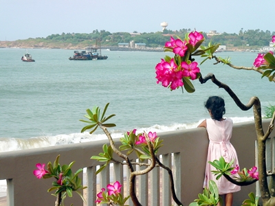 セイロン旅行.com,スリランカ旅行、貴重な旅行画像best100