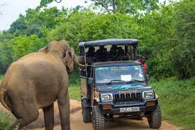 セイロン旅行.com,スリランカ旅行、貴重な旅行画像best100